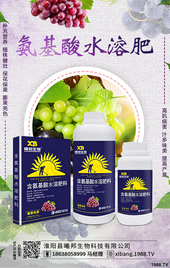 �＾�}����ô�Nֲ���＾�}���Nֲ���g(sh��)������Ҫ�c(di��n)��