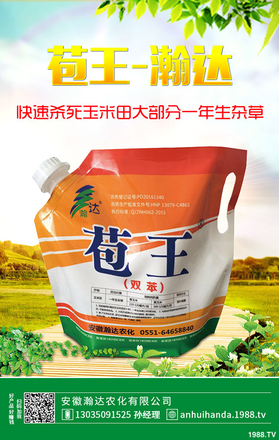 �紺�²���ôʩ�����²�ʩ�ʷ�����ע�������