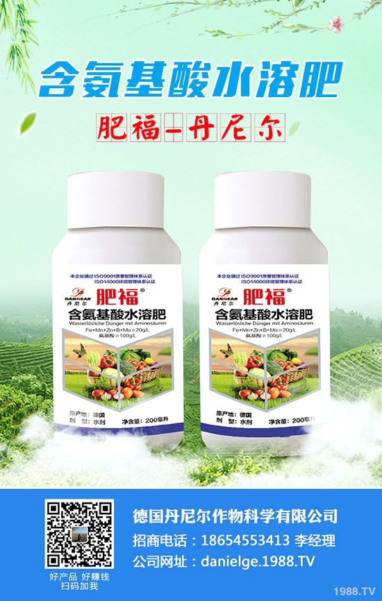 ���ӵĹ�Ч�c���������ӵ����x������