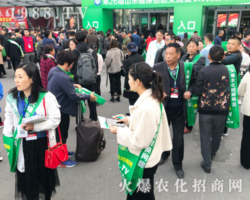     2019ɽ�|��(j��)��ֲ���p�������r(n��ng)�����̾W(w��ng)��ٶ��w��