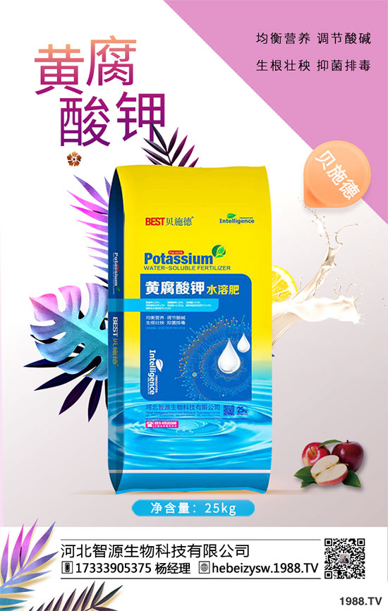 ����ը���ӷNֲ�����¹����༼�g(sh��)��