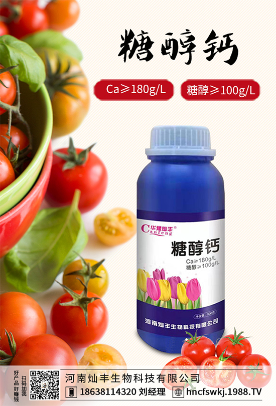 ���{���ݲ����u������ԓ��η��������{���ݲ����δ�ʩ