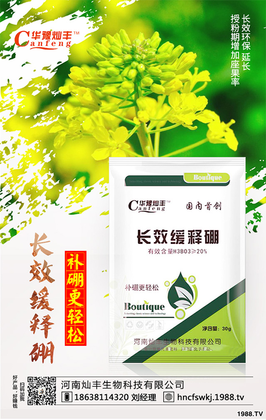 ���{���ݲ����u������ԓ��η��������{���ݲ����δ�ʩ