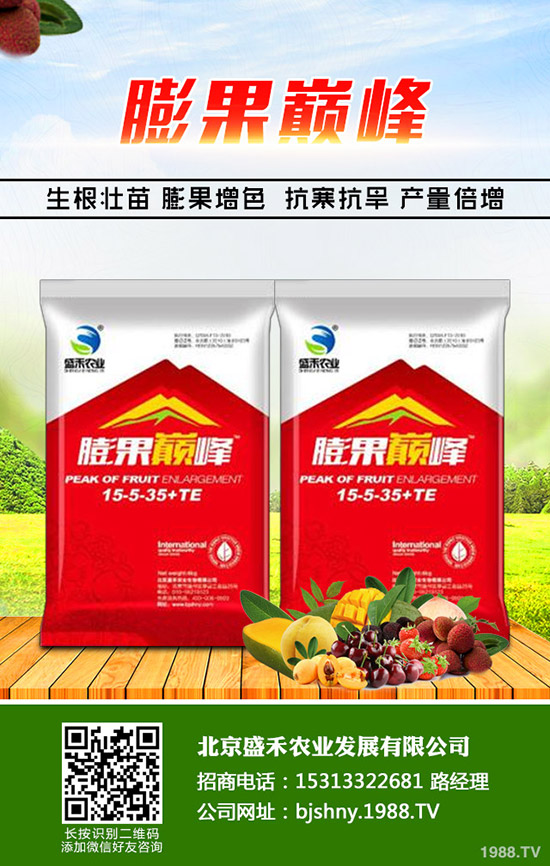 �²˵ķNֲ�r�g��ʲô�r�����²˵ķNֲҪ�c���˽����