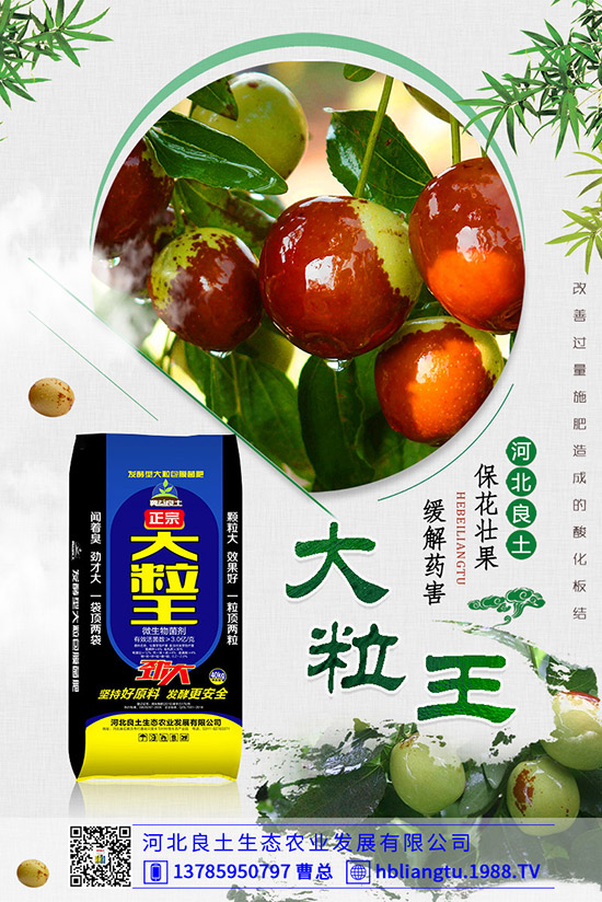 ����仨���ԭ������Щ����������������ʣ�