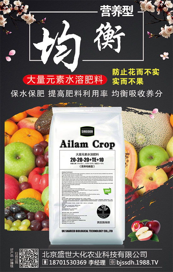 ���ӵĠI�B(y��ng)������t���ֵĹ�Ч�c���ã�