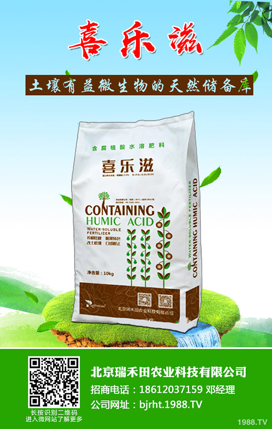 �����~Ƭ�l(f��)�S����ô�����������~Ƭ�l(f��)�S��ô������