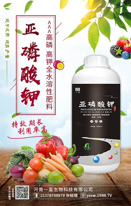 ���Ҙ��ʲô���Y(ji��)�������Ҙ䲻�Y(ji��)����(sh��)�ĵĽ�Q������