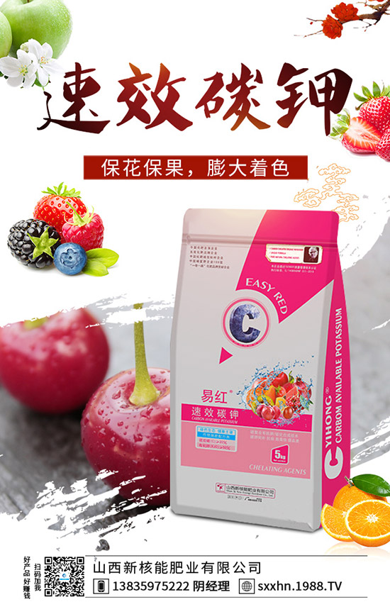     ���@�ɽ����^����2019��11��19��������@�Ј������r��1-(1938)