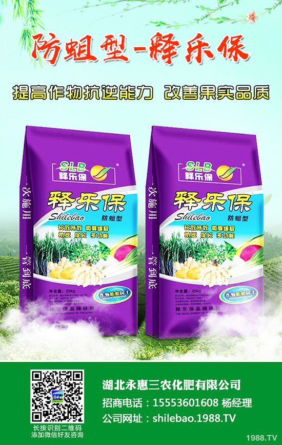     ⛷������ů��2019��11��2�ս���⛷ʃr(ji��)���߄�(sh��)�A(y��)�y(c��)��