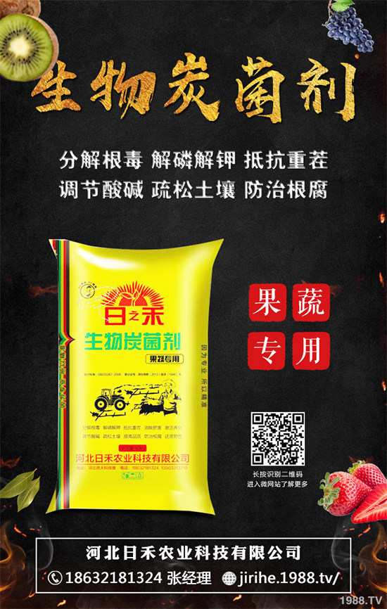 ���[��ֲ�������ˆ������[��ֲ����ֲ���������