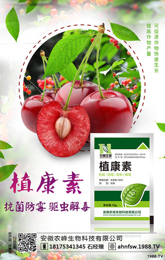 ��(d��ng)�w��ô�Nֲ����(d��ng)�w�NֲЧ�漰���༼�g(sh��)��