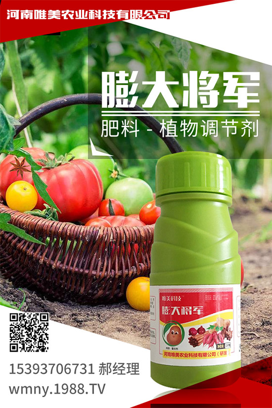 ������ݮ���ʩ���������ߴ���ĵر�ضȣ�