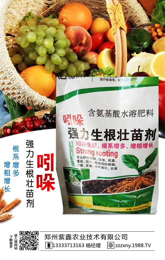 ��֥��Nֲ�r(sh��)�g��ʲô�r(sh��)��᣿��֥��Nֲ�������g(sh��)��