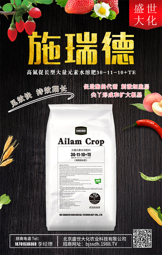 ʯ����ʲô�I(y��ng)�B(y��ng)�r(ji��)ֵ��ʯ������Щʳ�ù�Ч��