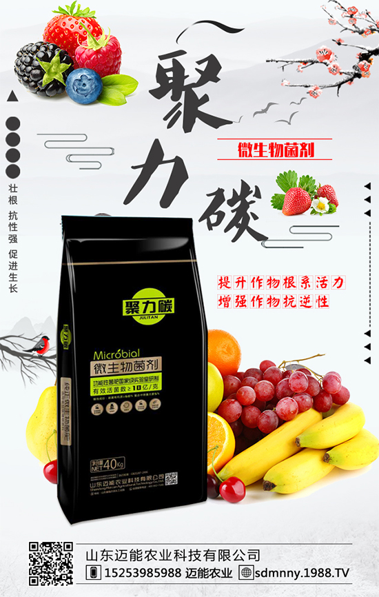 柿子各部位的營養(yǎng)價值，柿子保鮮的方法有哪些？