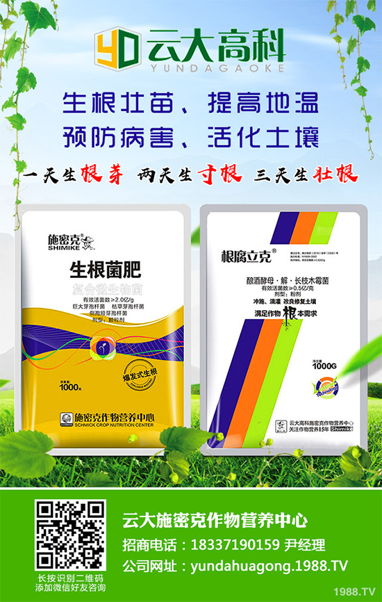 ��������ֲ��Ƥ�Ɇ�����Ƥ�ɶ�����ֲ����