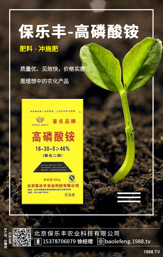 ����(n��i)���@�r����ϝq����2019.11.29���ո������@���S��r��