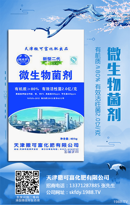 ��Ƥ�����Ժ���S��զ���£�ԓ��ô��Q�����������