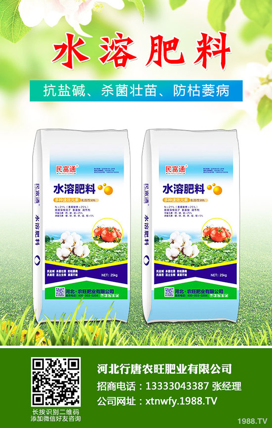 ��ϵ��˰׷۲���ô�k����ϰ׷۲��C�Ϸ���