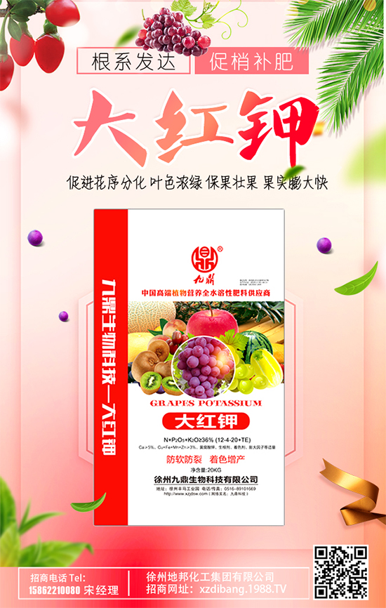豆芽種植技術(shù)要點(diǎn)有哪些？豆芽有哪些功效作用？