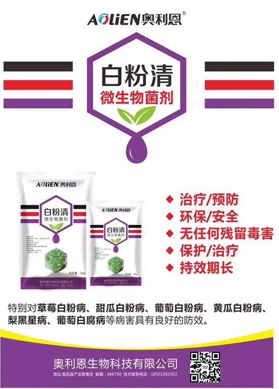 �׷۲�������(f��)�y�p���� ӛס�@��ˎ����Ч���ΰ׷۲����P����