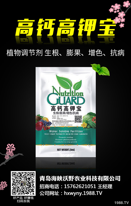 �Ϳ��Nֲǰ��Ҫ��(zh��n)����Щ�������Ϳ��Nֲ��������Щ��