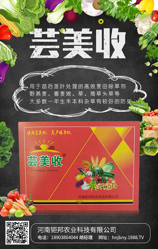 ����⠰��r�I(y��)�Ƽ����޹�˾1