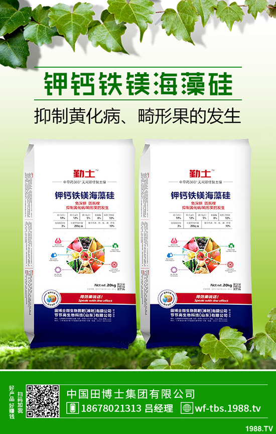     2019��11��8������⛷������߄��A(y��)�y���Ȼ�⛳��S��rһ�[