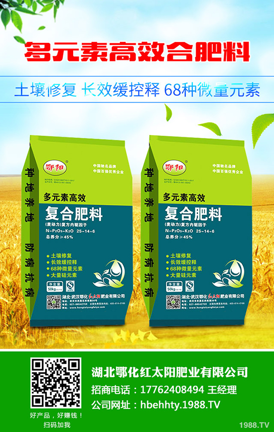 ��Ƥ������ô�N����Ƥ����Nֲ���g(sh��)����Щ��