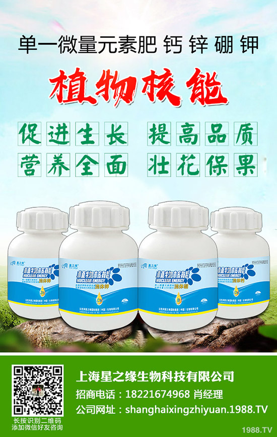 芽菜怎樣種植，芽菜種植技術(shù)您了解多少？