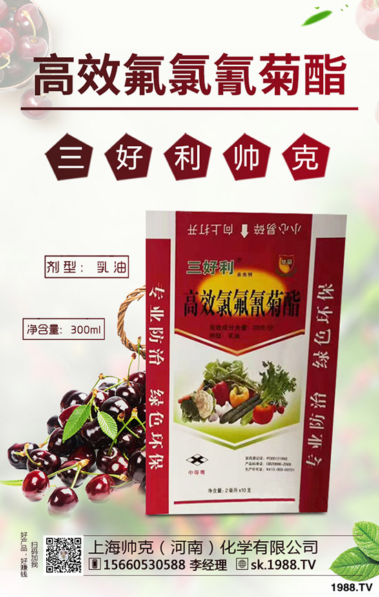 蒜黃一般是什么時(shí)間播種，蒜黃的種植技巧有哪些？