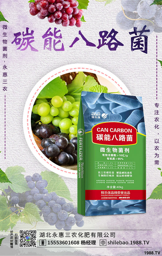 2020�괺��(ji��)���S�r���Ƿ��ϝq�����l(f��)�r�����Xһ�������S�Nֲǰ����