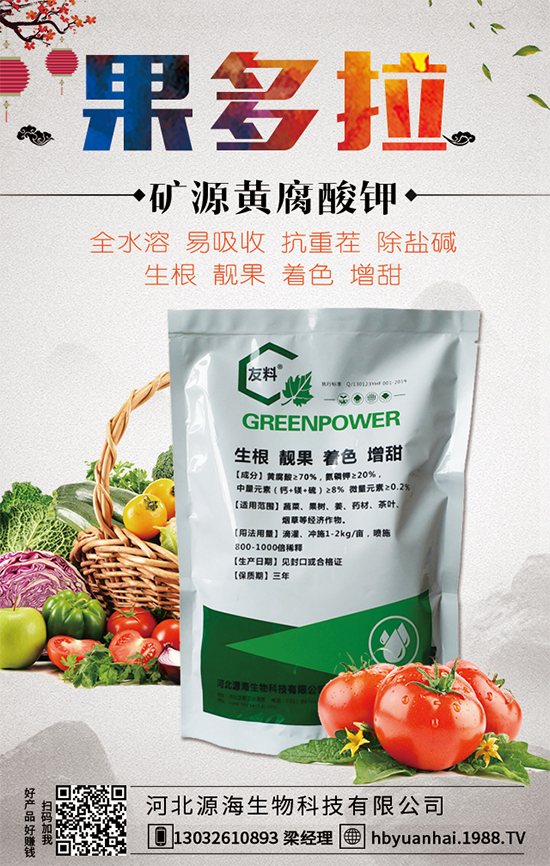 ������Ճr(ji��)������Xһ����2020�����Nֲǰ�������