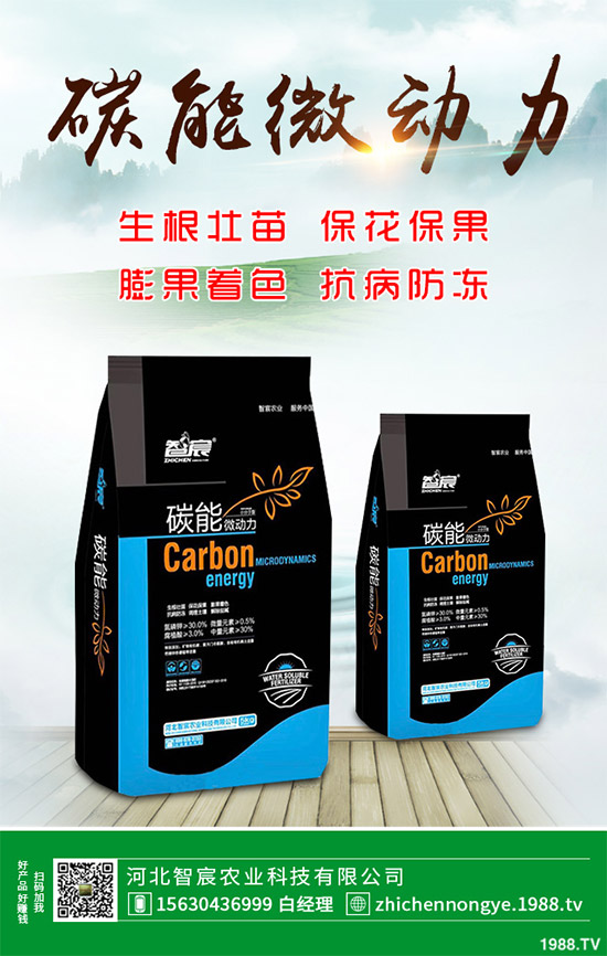 ħ��ԓ��ô�N��ħ��߮a(ch��n)�Nֲ��������