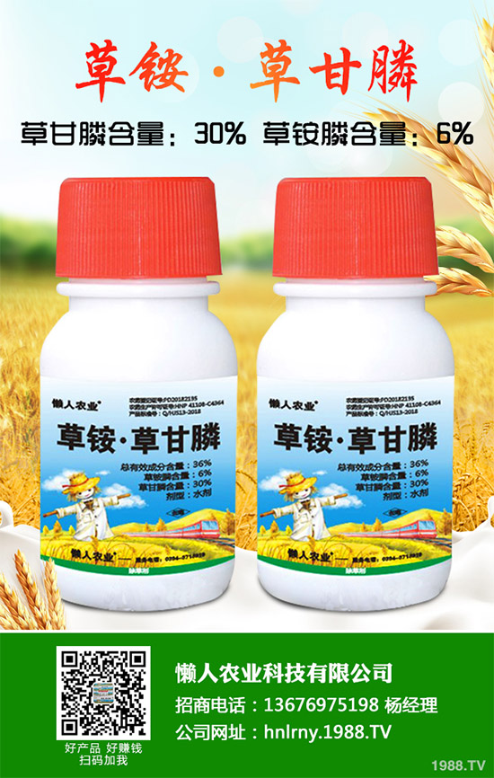 縷、灰藜的勁敵來了青海成功研發(fā)一種微生物除草劑