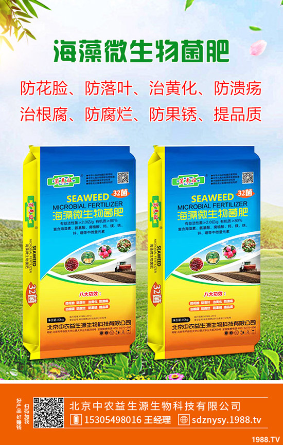     2020�괺��(ji��)�r���r(ji��)���A(y��)Ӌ(j��)�����q���������Xһ���������q�r(ji��)ԭ�������