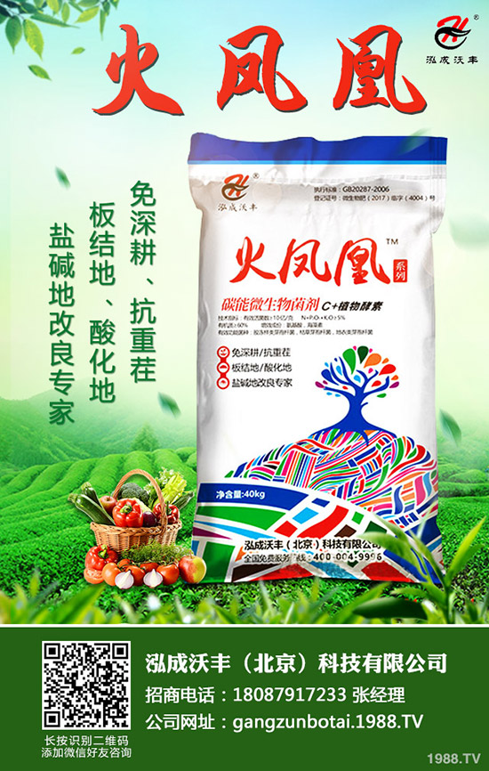     2020��Nֲ����ٍ�Xô��ǰ��������һ������Ͷ�Y��Ч�������