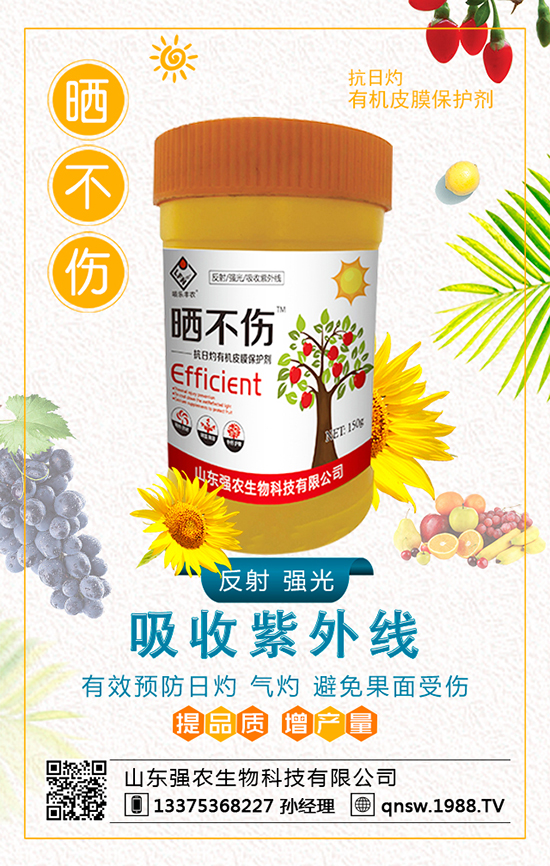 2020���ϻ��Nֲ 2020���ϻ��Nֲǰ��