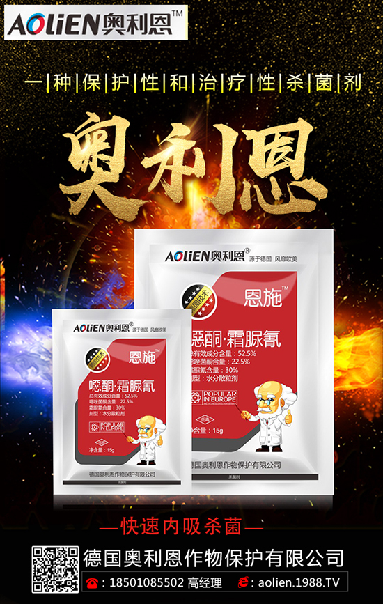 ���ٔ���r(sh��)�g ���ٔ������