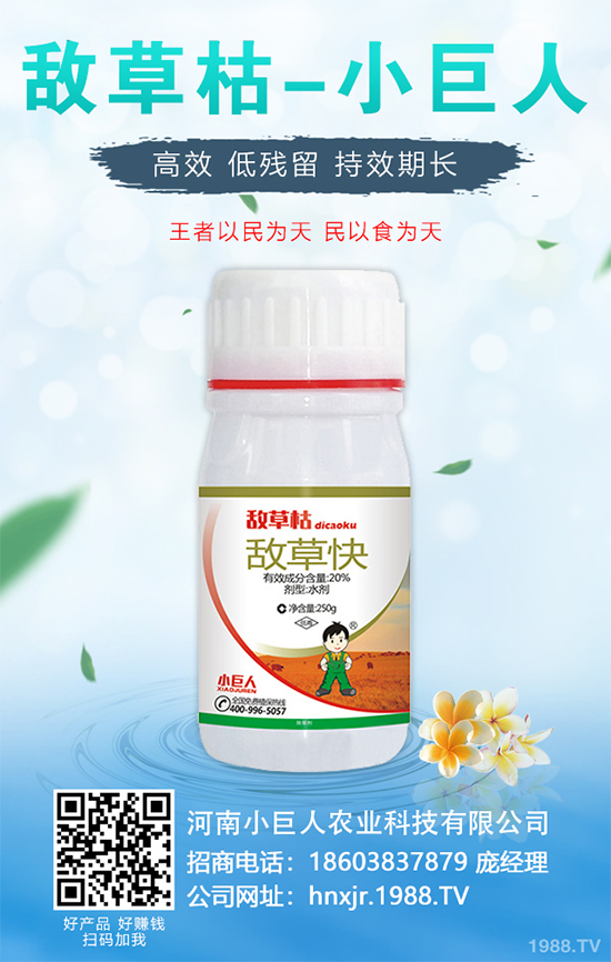 �o�����Nֲ������ô��������܌��F(xi��n)�Nֲ�߮a(ch��n)��