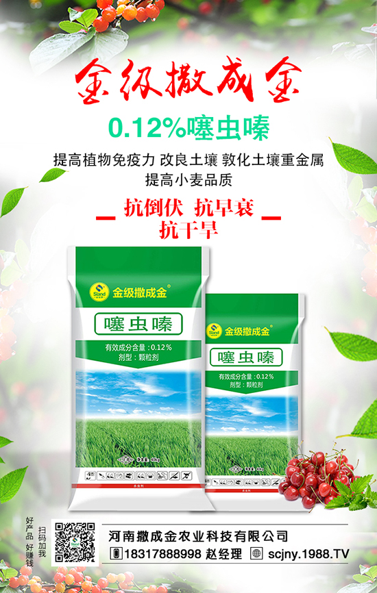 ���Է��ϊZ�����B��������