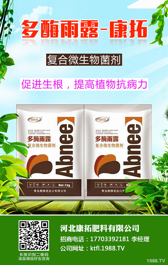 ����ÿ�������X��2019-12-20���ո������؃r(ji��)���߄�(sh��)����