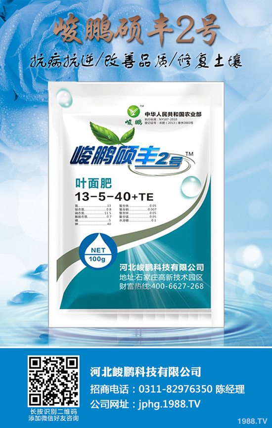 ����ʲô�r(sh��)��׷��������׷��ע��Ҫ�c(di��n)��