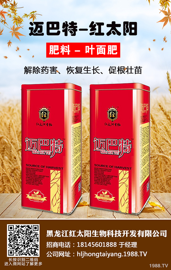 ⛷ʃr(ji��)���ǝq�ǵ���2019-12-21��(gu��)��(n��i)����⛷ʃr(ji��)���߄�(sh��)����