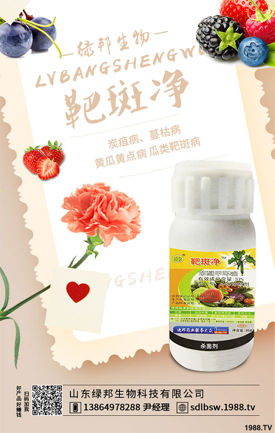 ������ԭˎ�r(ji��)�������߄�(sh��)����