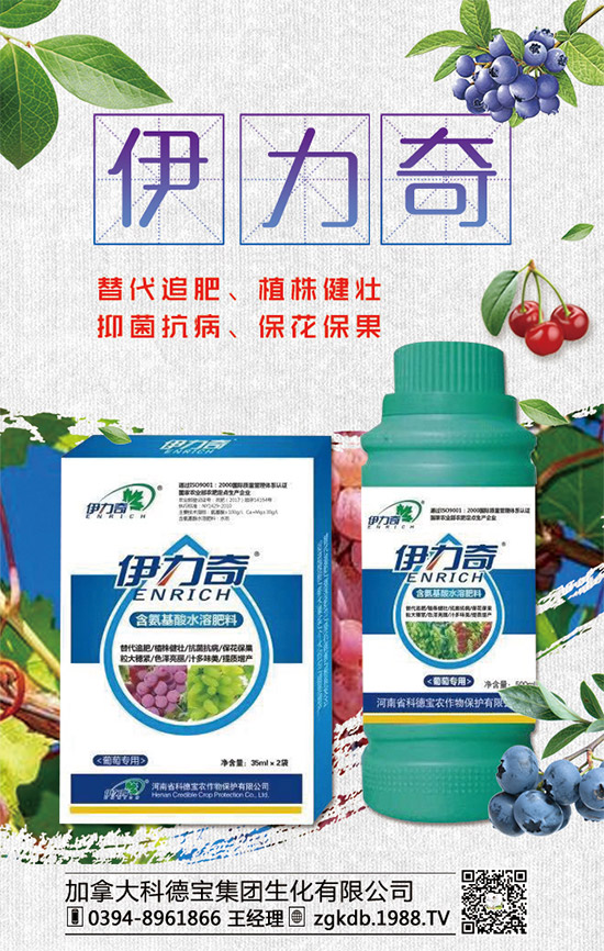 臨近年關(guān)!二銨行情是否上浮!2020年二銨價格行情走勢預(yù)測!