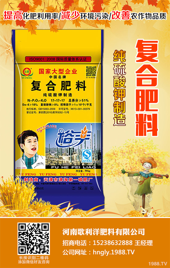 老虎姜該怎么種植?老虎姜高產種植技術管理