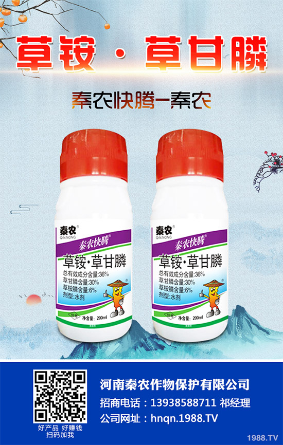 Prentiss�������������s�ݳ��݄�Camp-D ��2��4-D�Ͱ��������