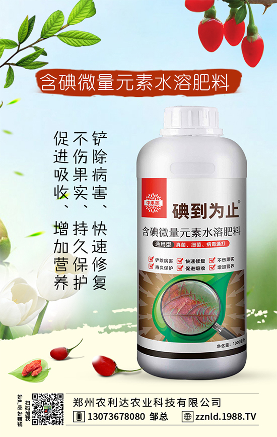 �t�}����ι��������S��������ƌW(xu��)�����҂�֪������